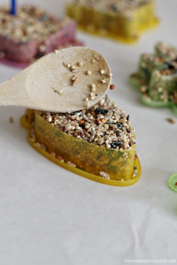 Craft Bird Seed Ornaments See Vanessa Craft