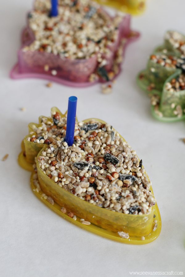 Craft Bird Seed Ornaments See Vanessa Craft