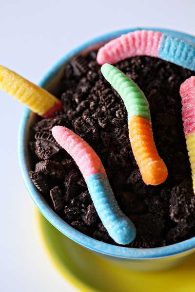 Chocolate Worm Dirt Pudding for Earth Day