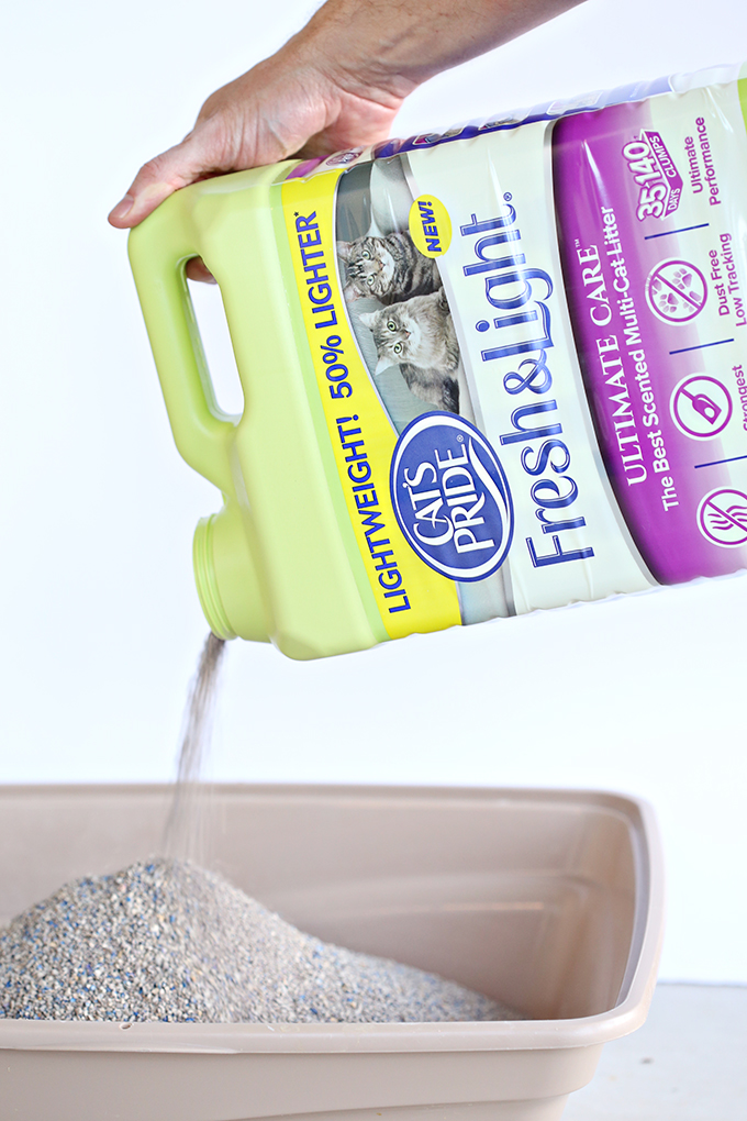 Craft Homemade Lavender Air Freshener See Vanessa Craft