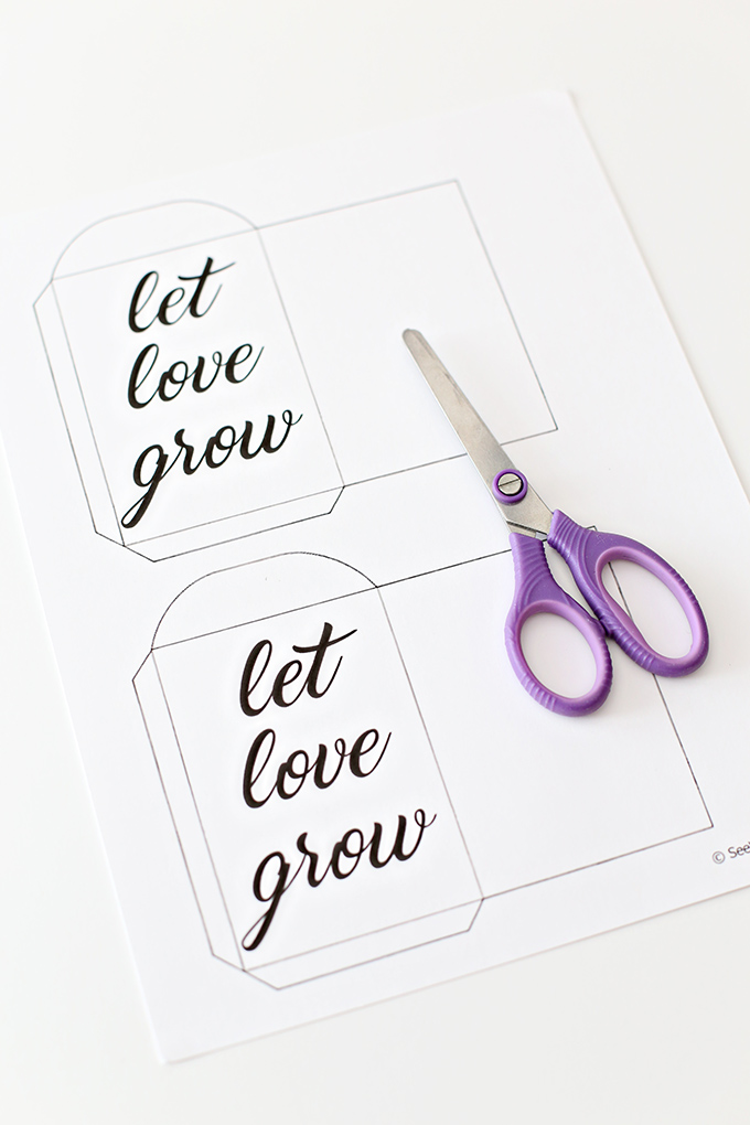 Let Love Grow Seed Packet 1 copy