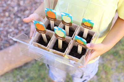 Pumpkin Patch Kit for Kids at World Market