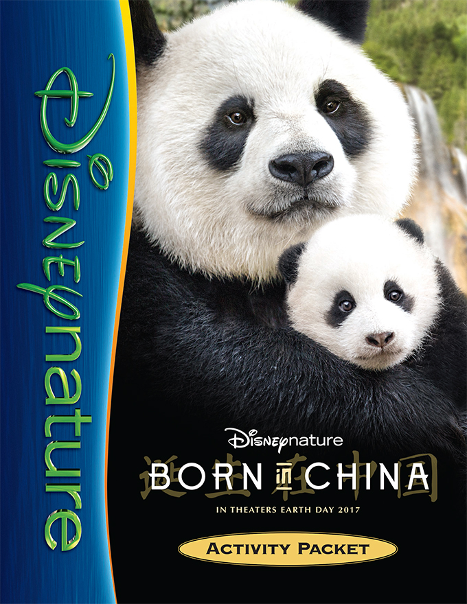 BornInChina Activity Packet
