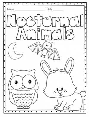 nocturnal animals - See Vanessa Craft
